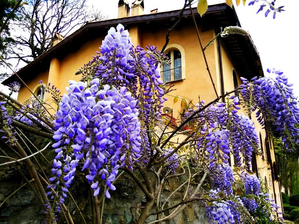 La Locanda Del Borgo Pietralunga  Extérieur photo
